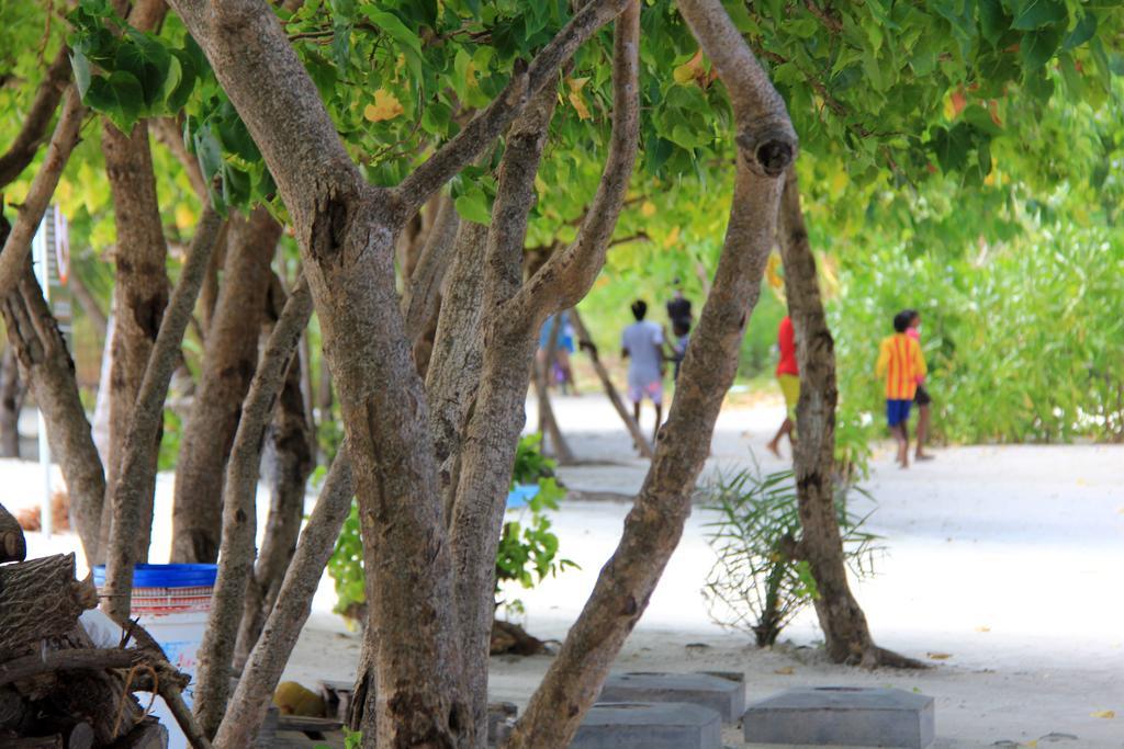 Rip Tide Vacation Inn, K.Guraidhoo Гурайдо Екстериор снимка