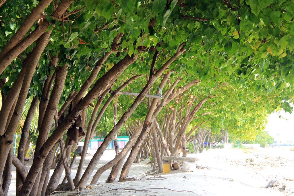 Rip Tide Vacation Inn, K.Guraidhoo Гурайдо Екстериор снимка