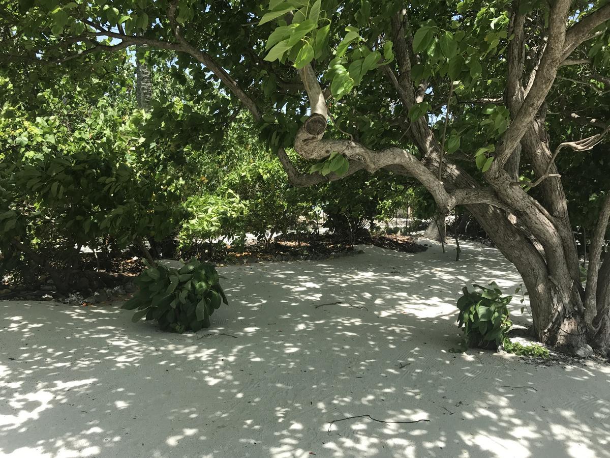 Rip Tide Vacation Inn, K.Guraidhoo Гурайдо Екстериор снимка